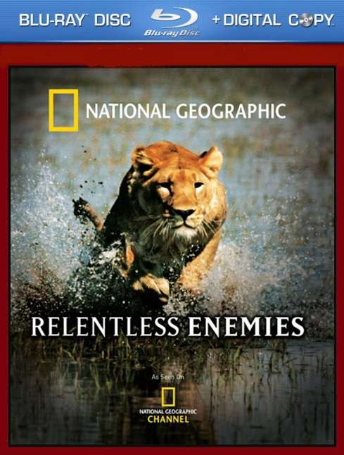 National Geographic Relentless Enemies 2006 Brrip Xvid Ac3-Xdr