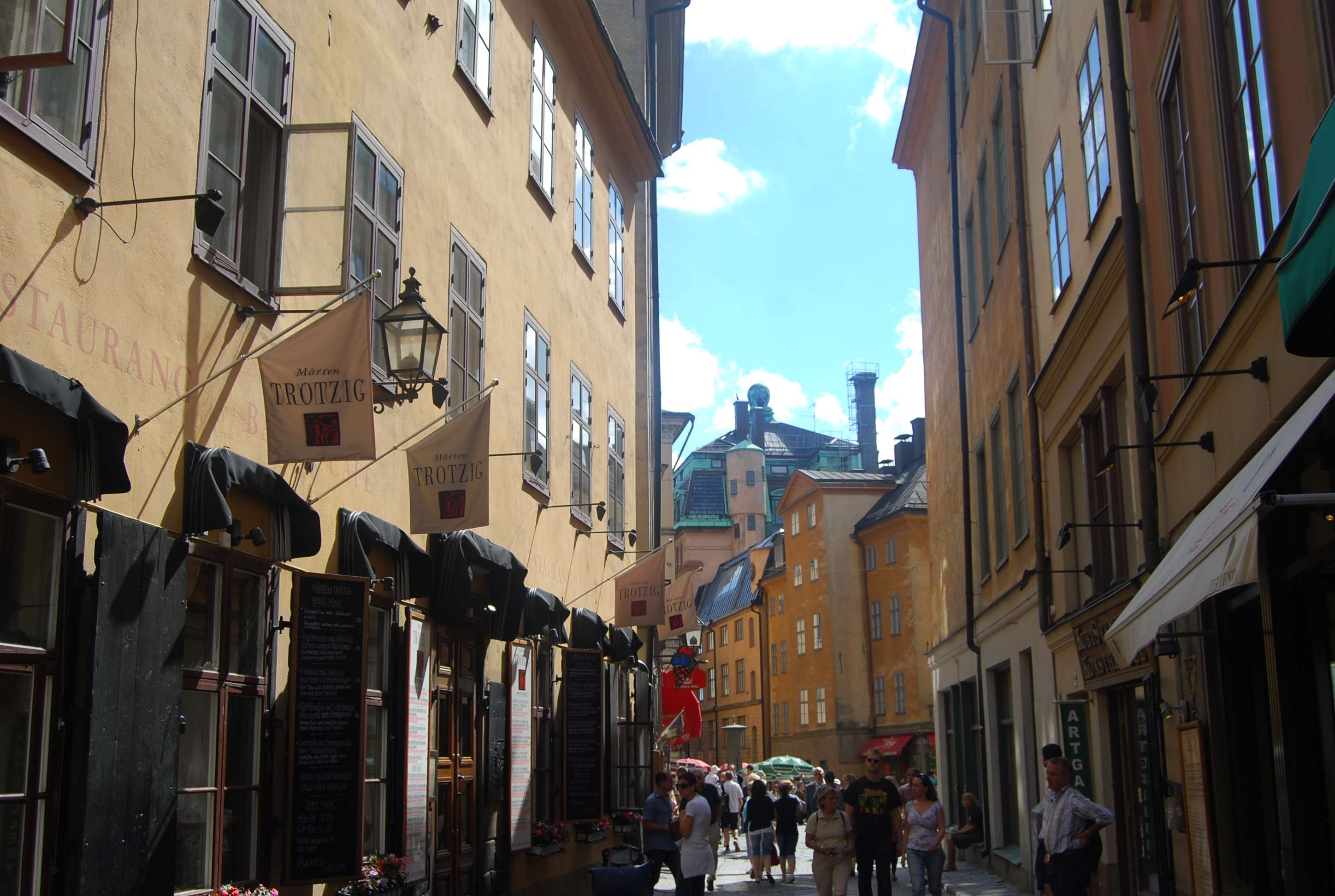 Estocolmo. Excursión para cruceros por libre, Cruise-Sweden (8)